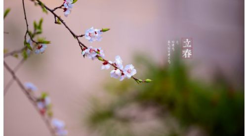 立春|一年四季春為首，莫負(fù)春日好時光——【易造科技】