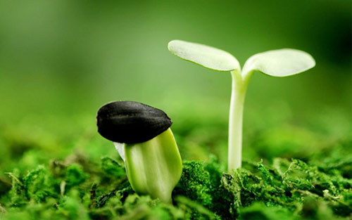 二十四節(jié)氣 | 驚蟄到，春意濃【杭州易造】