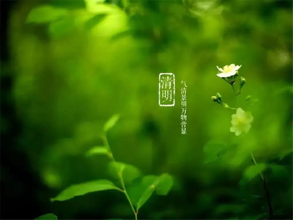 清明節(jié)——清明時節(jié)雨紛紛，路上行人欲斷魂