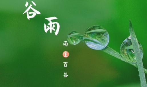 谷雨|雨生百谷,萬(wàn)象更新