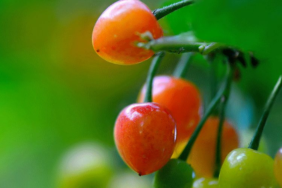 立夏六｜春光忽盡，夏木成陰【杭州易造】