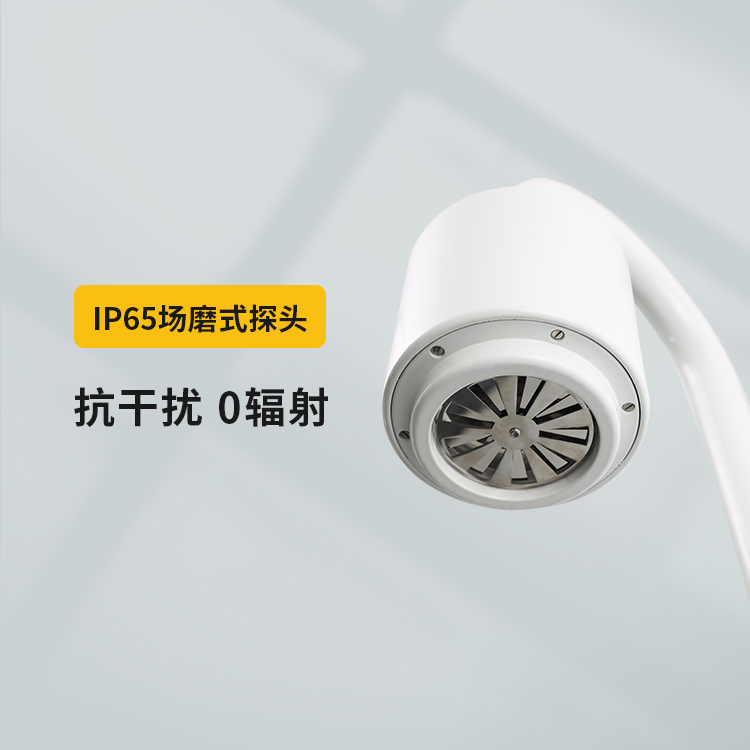 雷電預警系統(tǒng)-IP65場磨式探頭