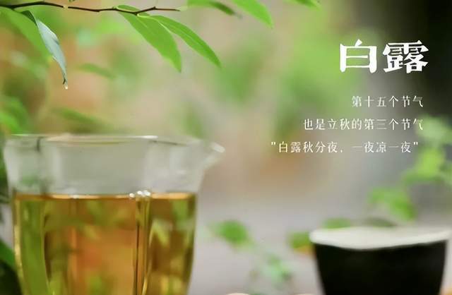 二十四節(jié)氣-白露 | 白露至,秋實(shí)美