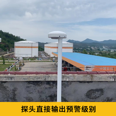 雷電預警系統(tǒng)價格-IP65探頭